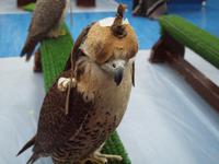 Abu Dhabi - Falkenklinik