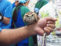 Abu Dhabi - Falkenklinik