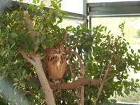 Abu Dhabi - Falkenklinik