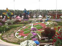 Dubai - Miracle Gardens
