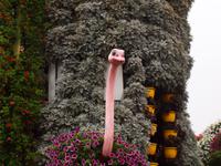 Dubai - Miracle Gardens