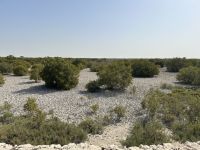 &copy; Patrick Fritzsche-Vorwerg (Eberhardt TRAVEL)