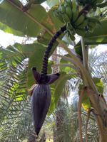 &copy; Patrick Fritzsche-Vorwerg (Eberhardt TRAVEL)