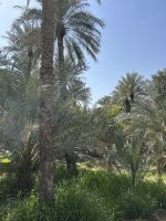 &copy; Patrick Fritzsche-Vorwerg (Eberhardt TRAVEL)