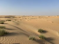 &copy; Patrick Fritzsche-Vorwerg (Eberhardt TRAVEL)