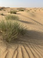 &copy; Patrick Fritzsche-Vorwerg (Eberhardt TRAVEL)