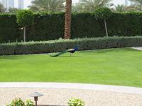 Dubai - Palast