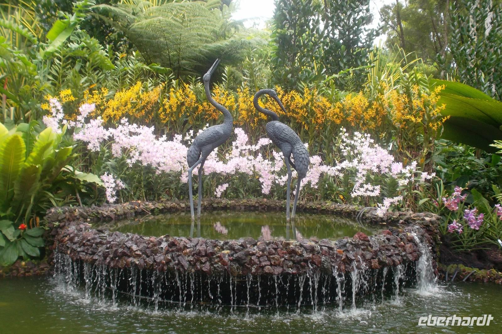 Orchideengarten Singapur