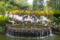 Orchideengarten Singapur