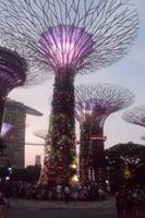 Gardens by the Bay