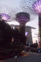 Gardens by the Bay