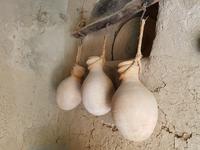 0728_Al Hamra