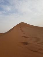 0823_Dune Bashing