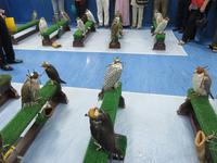 Dubai - Oman - Abu Dhabi -Besuch im Falkenkrankenhaus von Dr. Müller