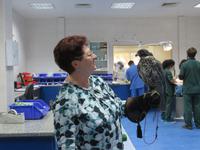 Dubai - Oman - Abu Dhabi -Besuch im Falkenkrankenhaus von Dr. Müller - Dorothea Schneider mit Falke