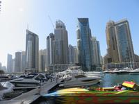 Dubai - Oman - Dubai-Marina