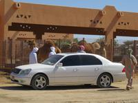 Dubai - Oman - Fahrt nach Al Ain -Besuch Kamelmarkt