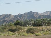 Dubai - Oman - Fahrt nach Nizwa