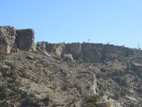 Dubai - Oman - Fahrt nach Wahiba Sands - Stopp in Al Ain