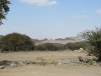 Dubai - Oman - Fahrt nach Wahiba Sands -