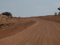 Dubai - Oman - Fahrt nach Wahiba Sands - in der Sandwüste