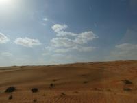 Dubai - Oman - Fahrt nach Wahiba Sands - in der Sandwüste