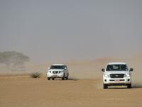 Dubai - Oman - Fahrt nach Wahiba Sands - in der Sandwüste