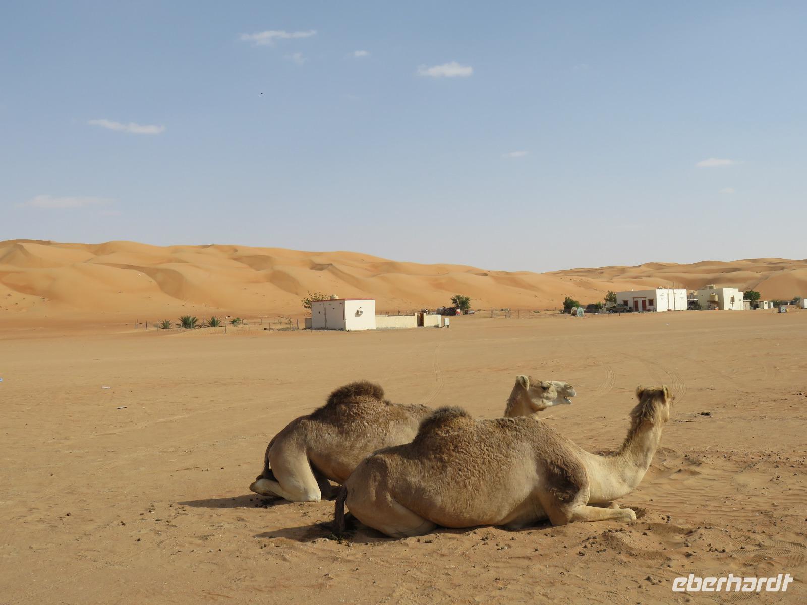 Dubai - Oman - Fahrt nach Wahiba Sands - in der Sandwüste