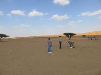 Dubai - Oman - Fahrt nach Wahiba Sands - in der Sandwüste