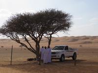 Dubai - Oman - Fahrt nach Wahiba Sands - in der Sandwüste - Besuch bei einer Beduinen-Familie