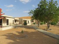 Dubai - Oman - Fahrt nach Wahiba Sands - in der Sandwüste - Sama Al Wasil Desert Camp