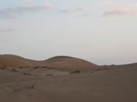 Dubai - Oman -  Wahiba Sands - in der Sandwüste - Sonnenuntergang auf den Dünen -