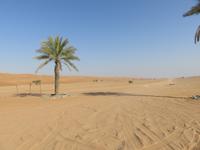 Dubai - Oman -  Wahiba Sands - in der Sandwüste -