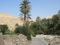 Dubai - Oman - im Wadi Bani Khalid
