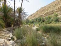 Dubai - Oman - im Wadi Bani Khalid