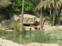 Dubai - Oman - im Wadi Bani Khalid