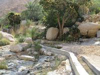 Dubai - Oman - Fahrt nach Muscat - Wadi Tiwi