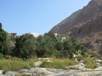 Dubai - Oman - Fahrt nach Muscat - Wadi Tiwi
