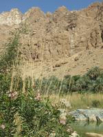 Dubai - Oman - Fahrt nach Muscat - Wadi Tiwi