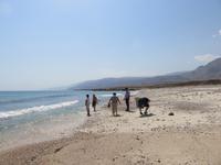 Dubai - Oman - Fahrt nach Muscat - am Strand bei Fins