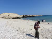 Dubai - Oman - Fahrt nach Muscat - am Strand bei Fins
