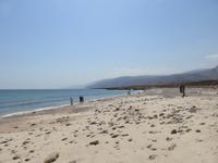 Dubai - Oman - Fahrt nach Muscat - am Strand bei Fins