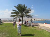Dubai - Oman - Fahrt nach Muscat - Halt  bei Quriyat
