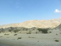 Dubai - Oman - Fahrt nach Muscat