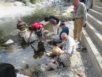 Dubai - Oman - Ausflug zu der warmen Quelle Ain Al Thowarah - Fußpflege durch kleine Fische