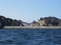 Dubai - Oman - Muscat - Bootsfahrt