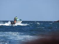 Dubai - Oman - Muscat - Bootsfahrt -