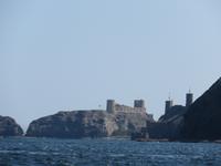 Dubai - Oman - Muscat - Bootsfahrt -