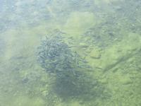 Dubai - Oman - Muscat - in der Marina