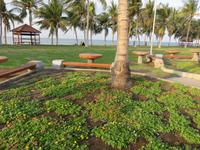 Dubai - Oman - Muscat - Spaziergang am Strand